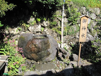 筑波山神社の大杉とお水取り