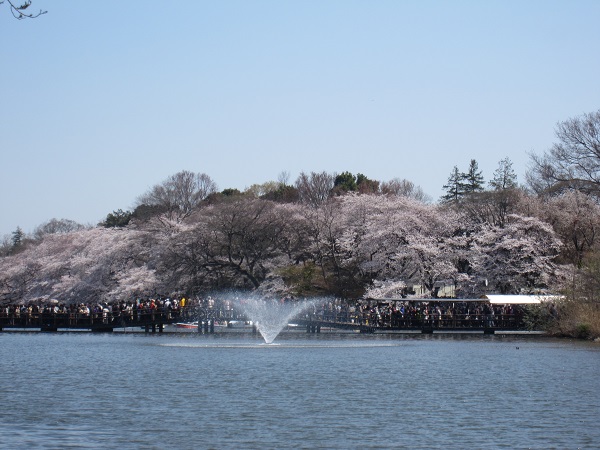 お