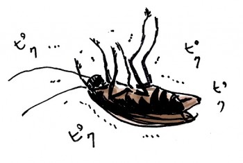 ゴキブリ 対策 ベランダ