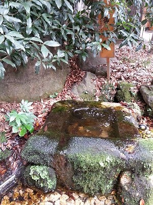 s-川越氷川神社縁結び (3)