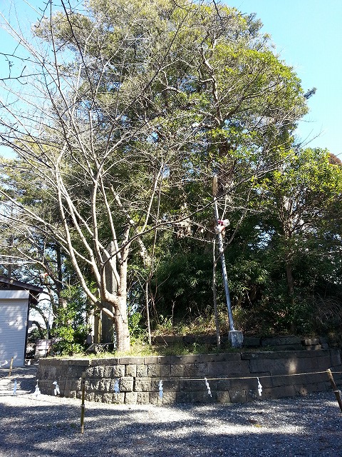 s-玉前神社 (9)