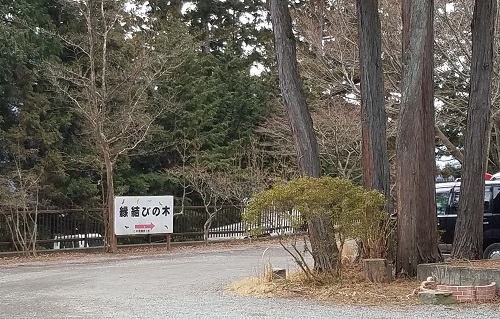 三峯神社縁結びの木