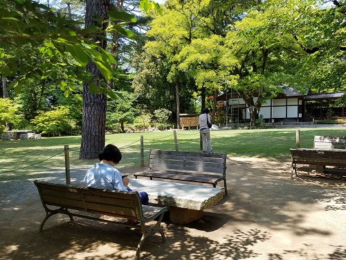 武田神社三葉の松の場所は?ご利益と使い方も。